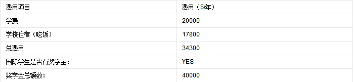 普林斯顿大学课程