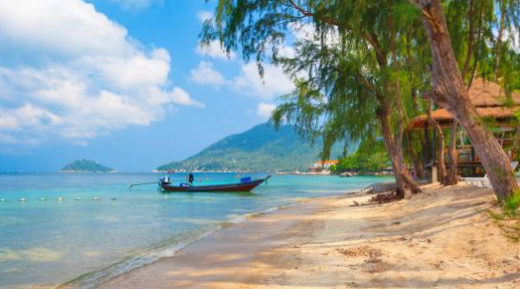 进可攻退可守，高考留学两不误！要不要了解一下？