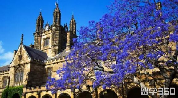澳洲大学接受中国高考成绩！你的高考成绩在澳洲可以读什么学校？
