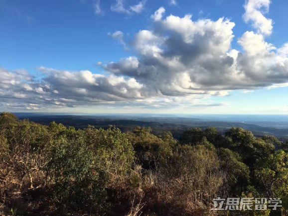 麦考瑞大学商学院