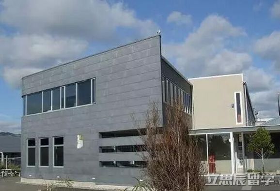 维特利亚国立理工学院排名