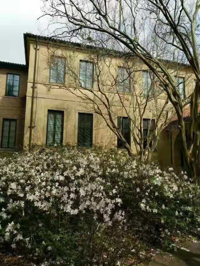 迈阿密大学本科专业