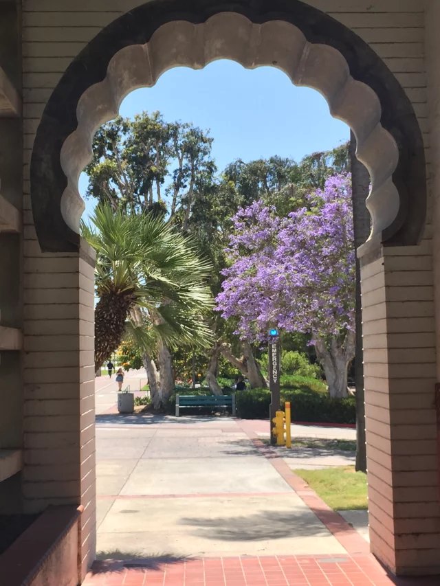 杨百翰大学市场营销