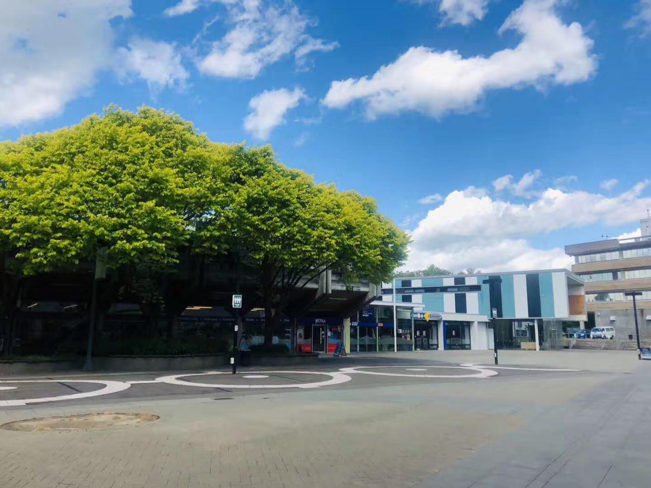 梅西大学雅思