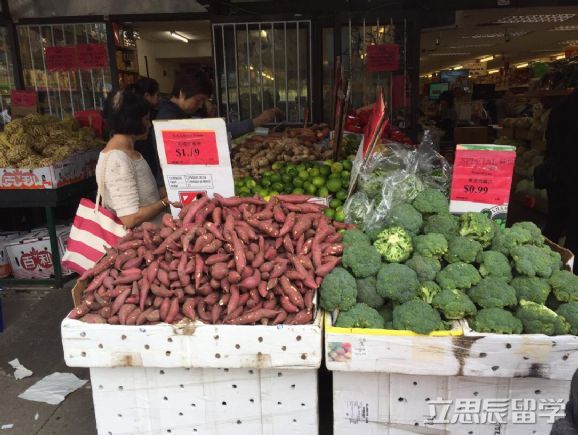 留学加拿大一年多少钱
