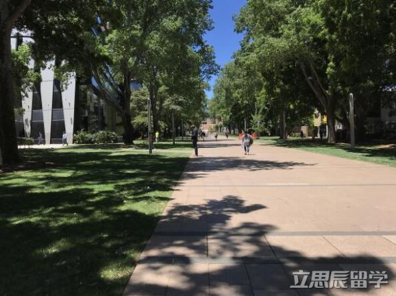 新南威尔士大学专业排名