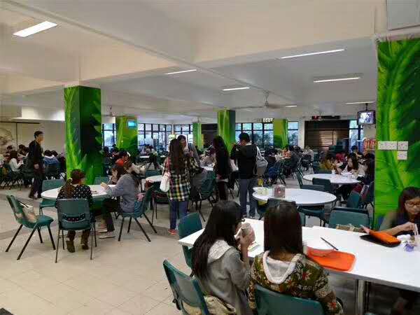 工作多年重拾学业，成功录取香港岭南大学offer