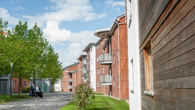 英国留学申请热门专业