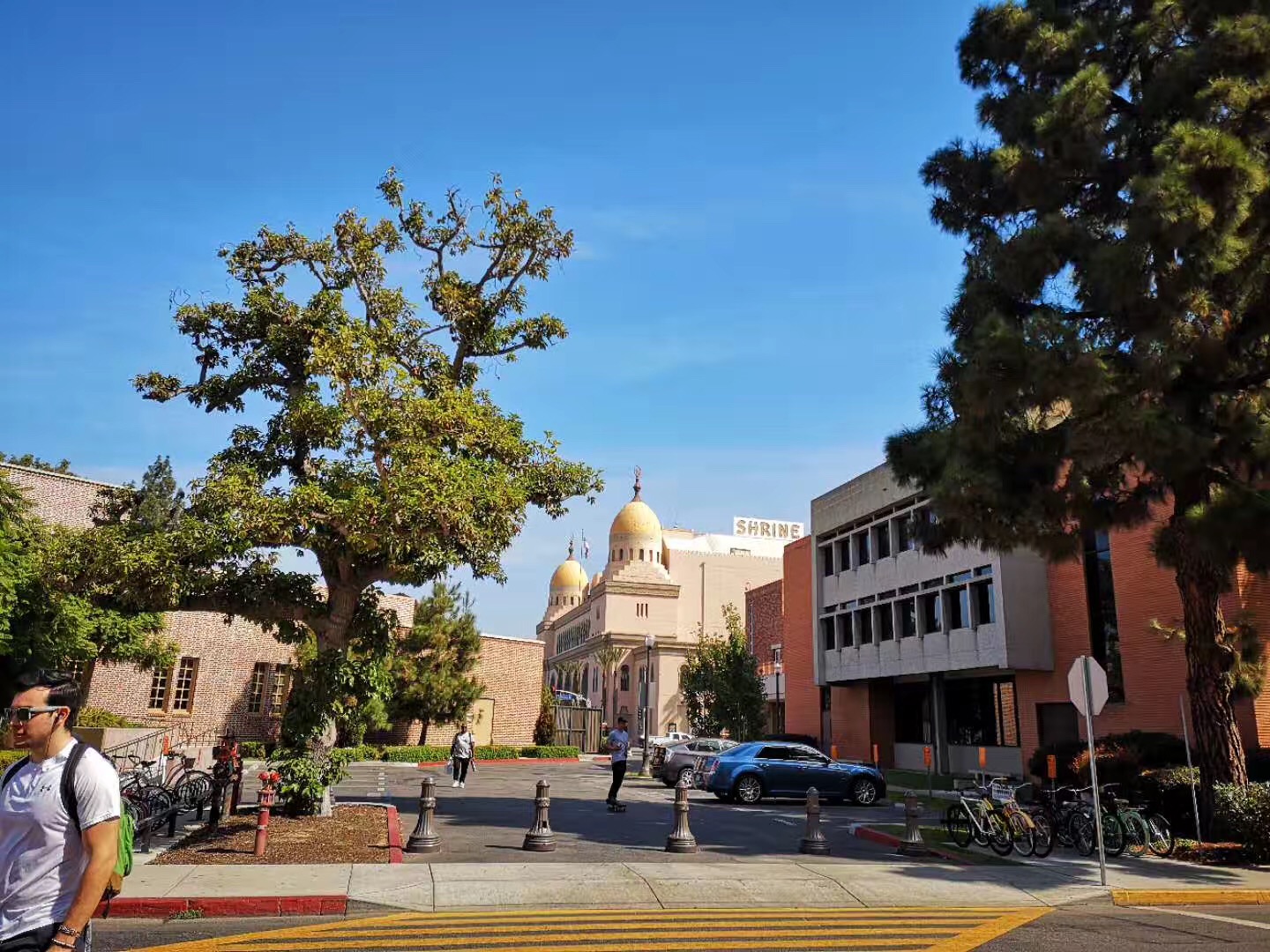 美国西北大学录取率