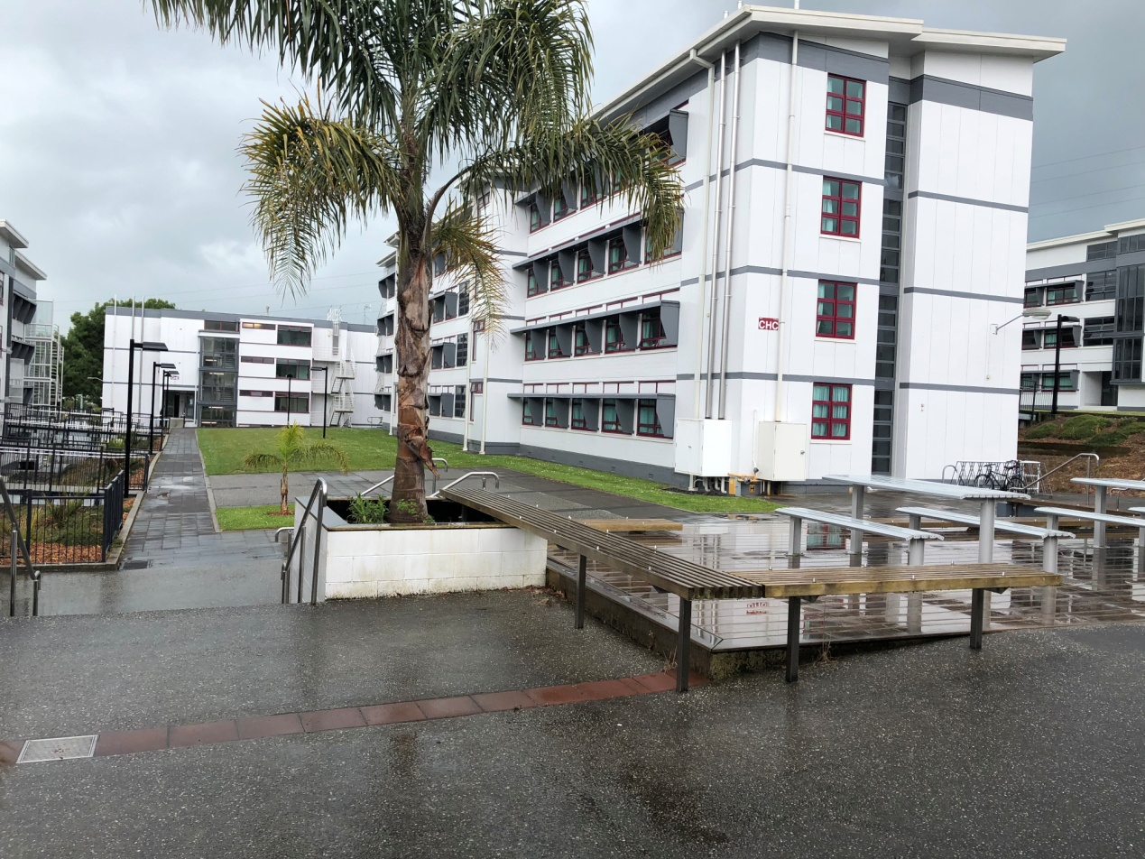 怀卡托大学教育专业