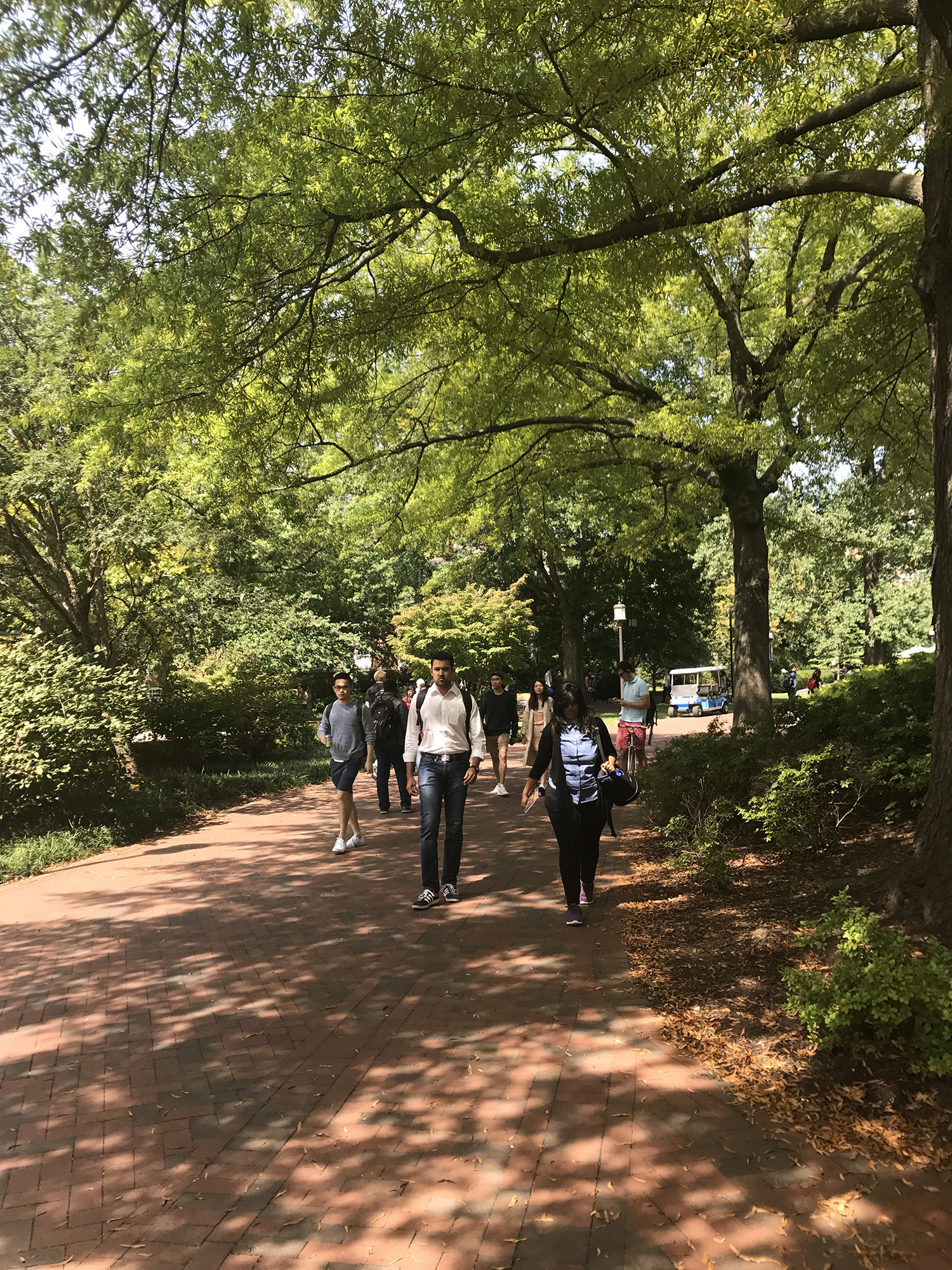 提升背景，精美文书助力拿下纽约大学offer！