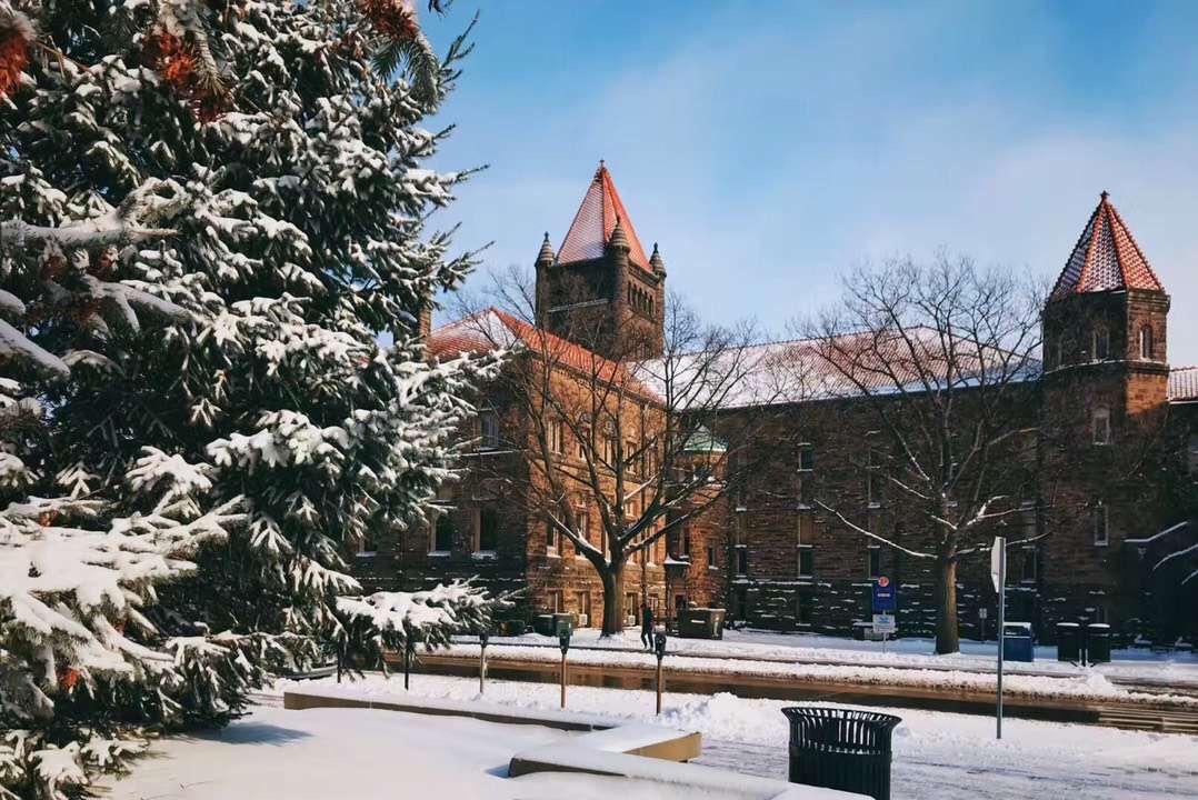 杜兰大学本科入学条件