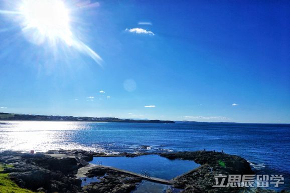 悉尼大学在国内认可度