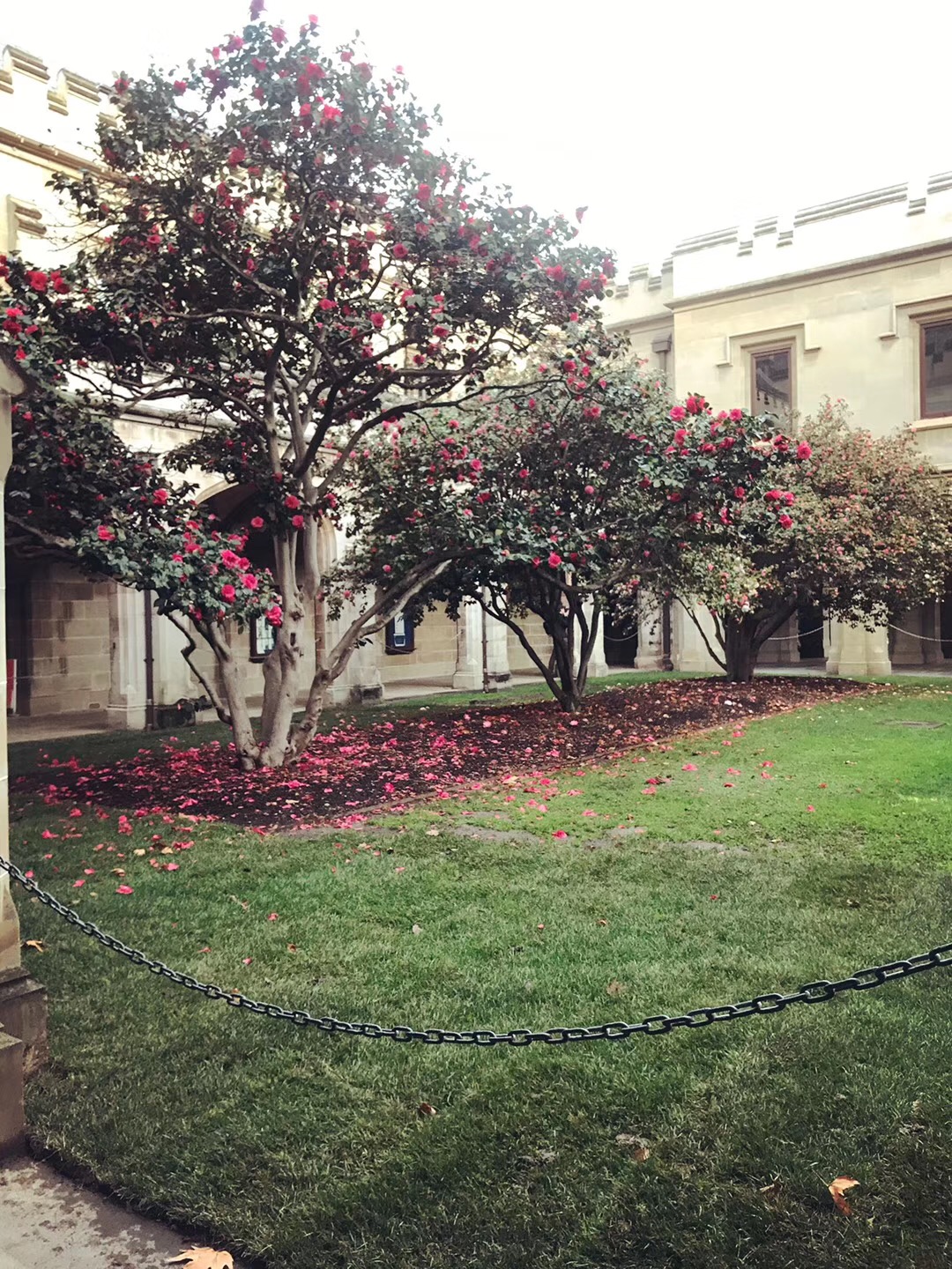 墨尔本大学供应链管理