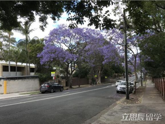 悉尼大学研究生申请流程