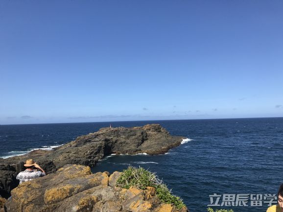 墨尔本大学研究生入学要求