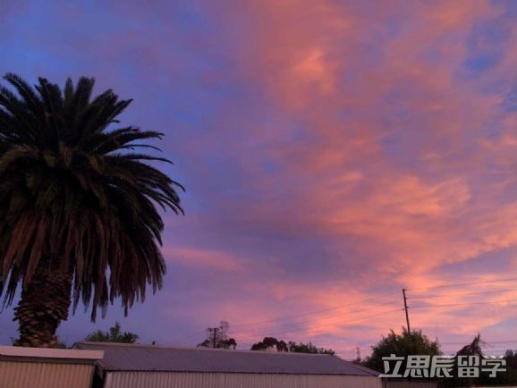 迪肯大学预科开学时间