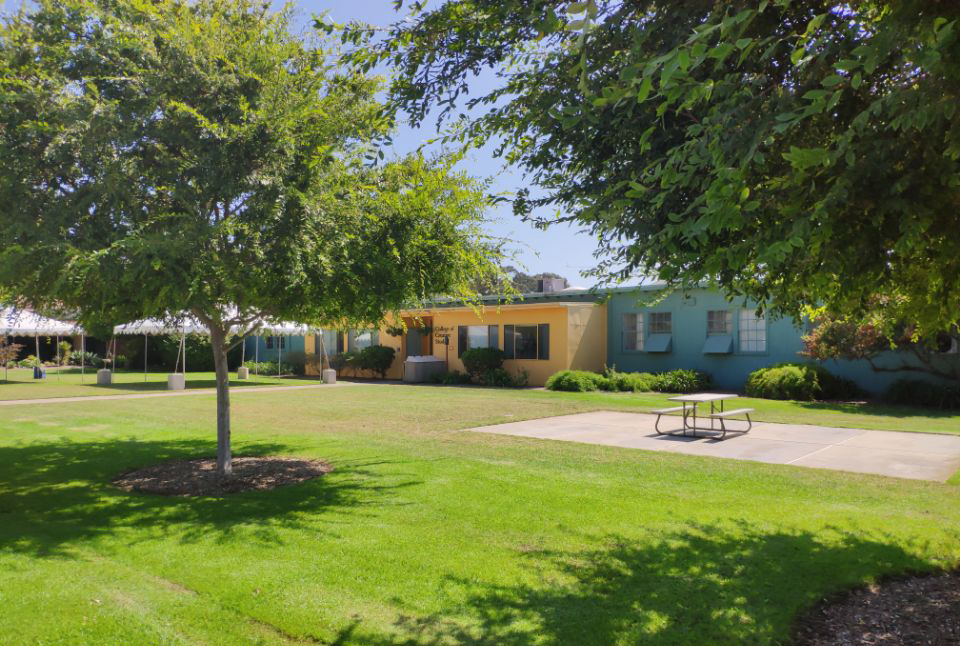 高考失利，国内本科成功转入美国东北大学！