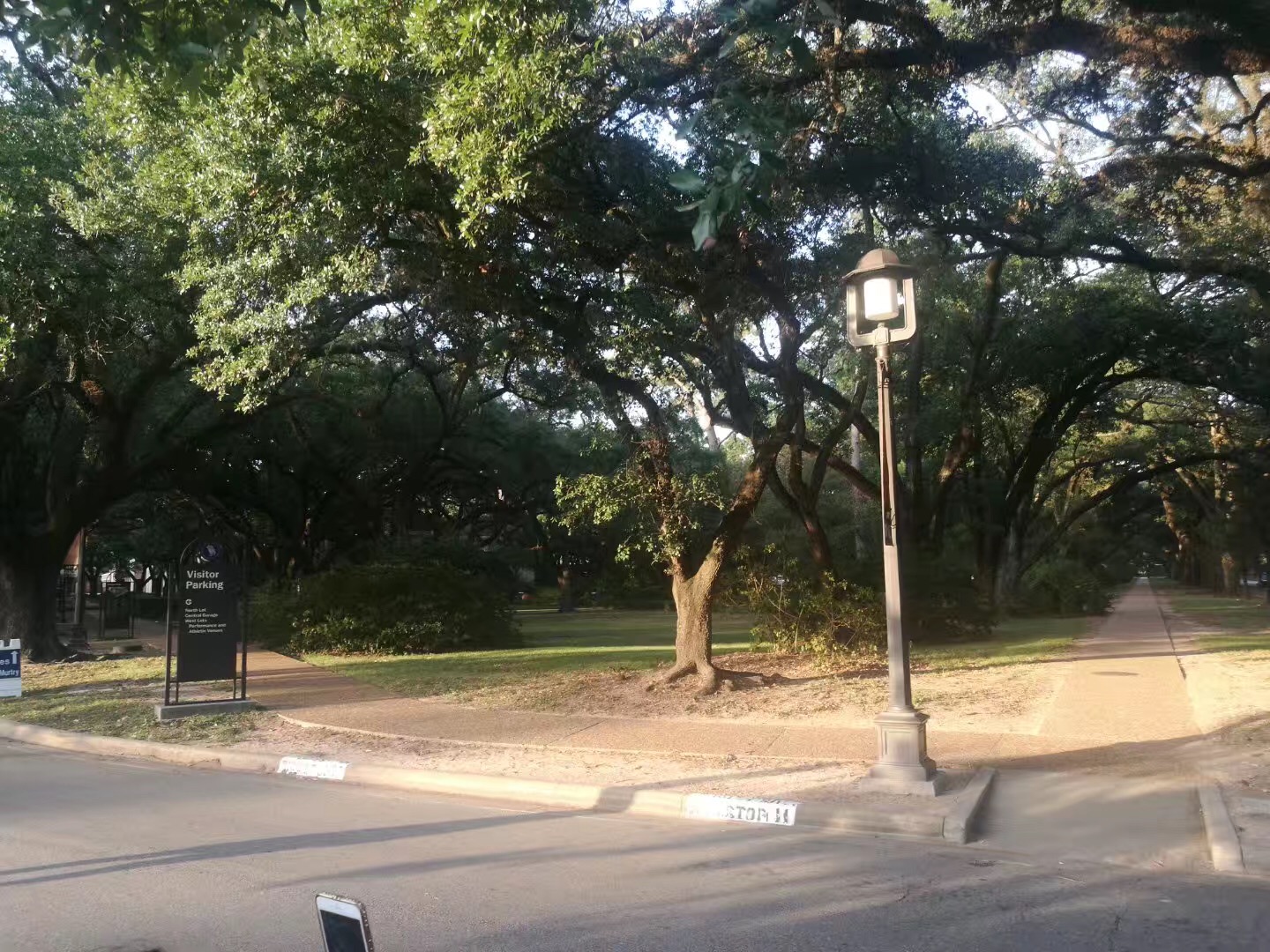 德克萨斯大学奥斯汀分校会计