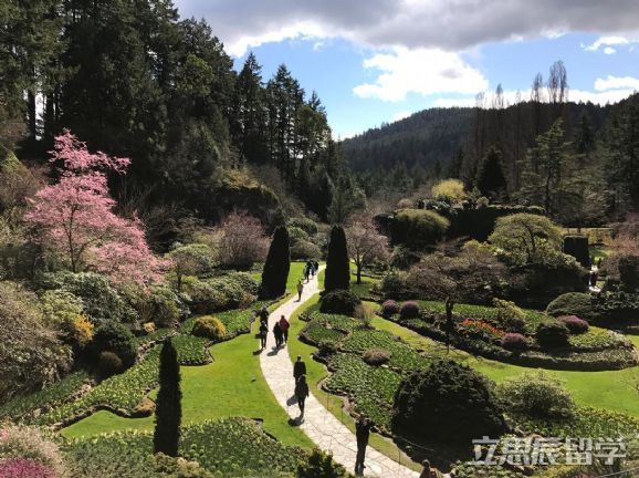 如何申请加拿大留学