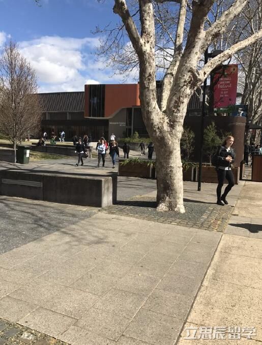 麦考瑞大学会计硕士gpa