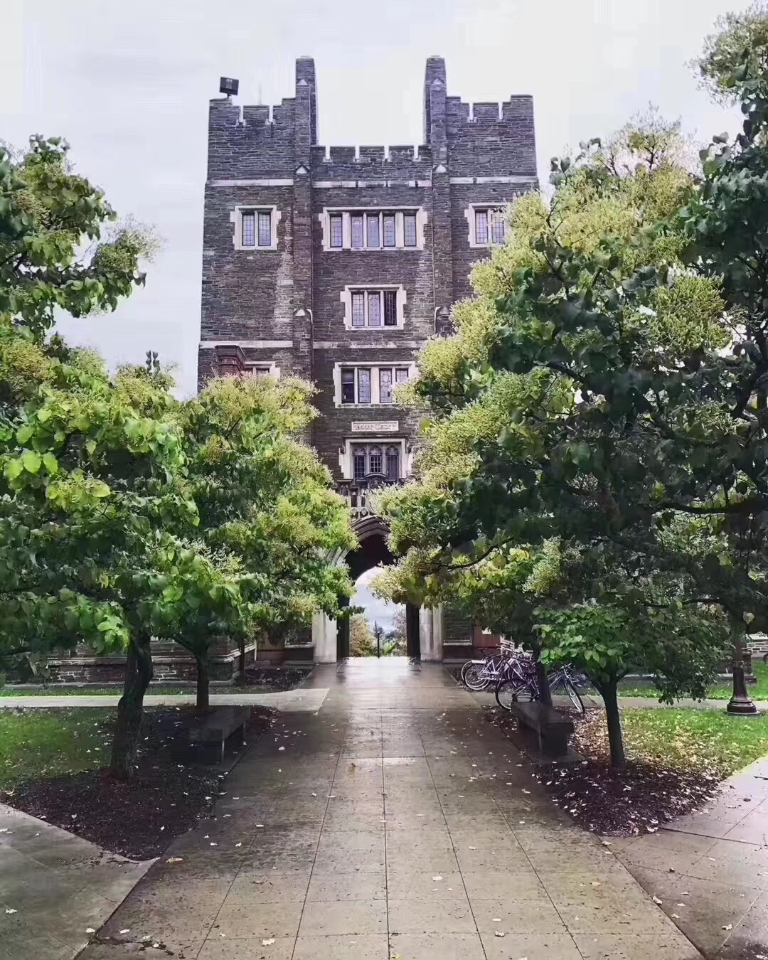 康奈尔大学就业前景