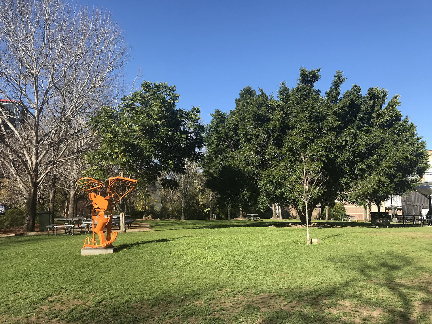 麦考瑞大学语言学系