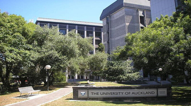 奥克兰大学数学专业