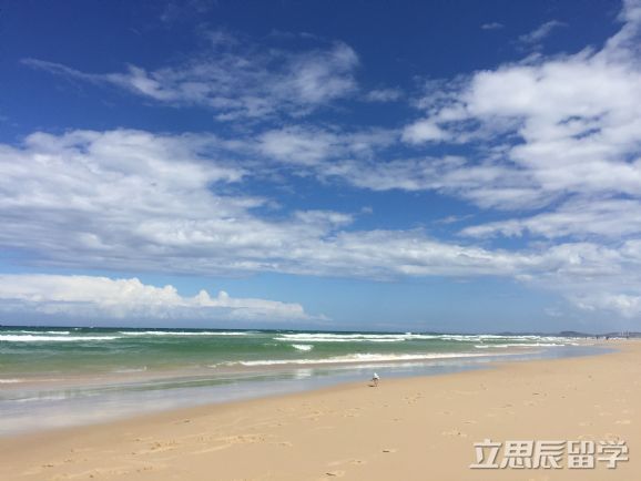 悉尼大学申请周期