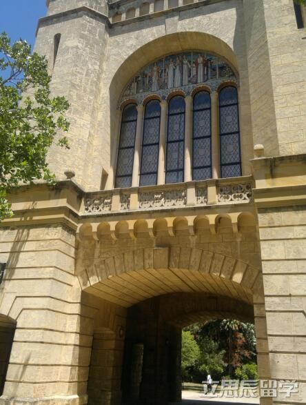 西澳大学商科