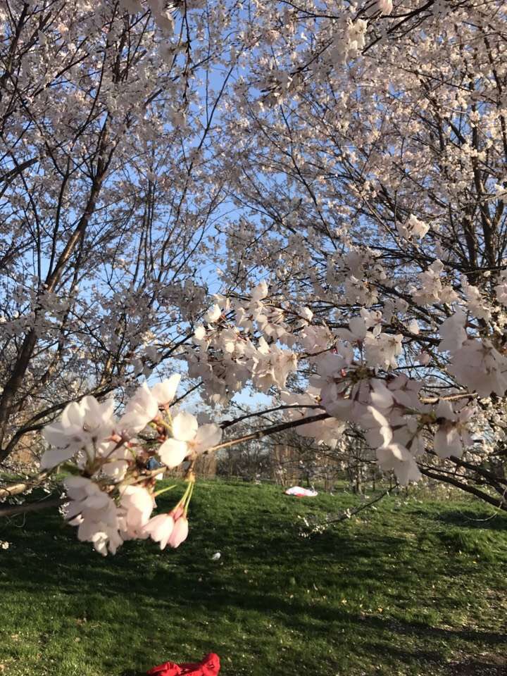 埃默里大学英语系
