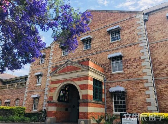 西悉尼大学护理专业