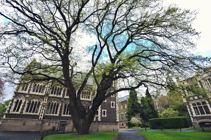 申请奥塔哥大学本科条件