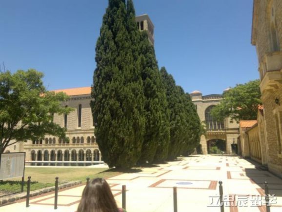 西澳大学社会工作硕士