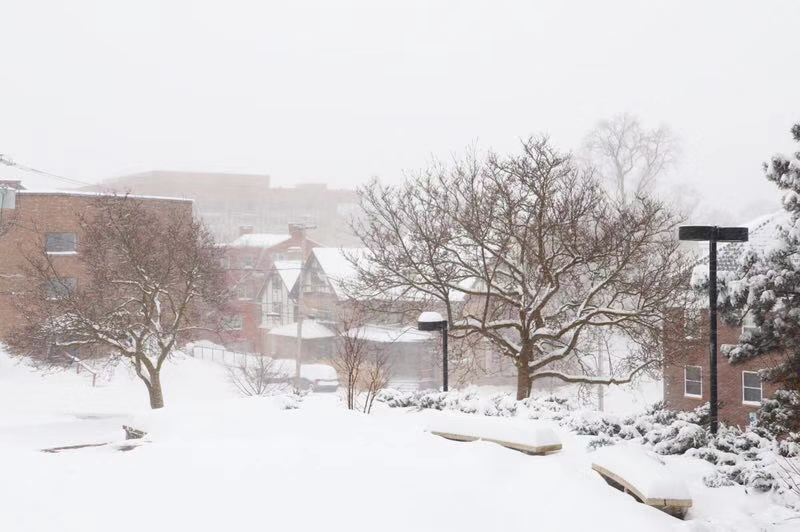 美国雪城大学法学院
