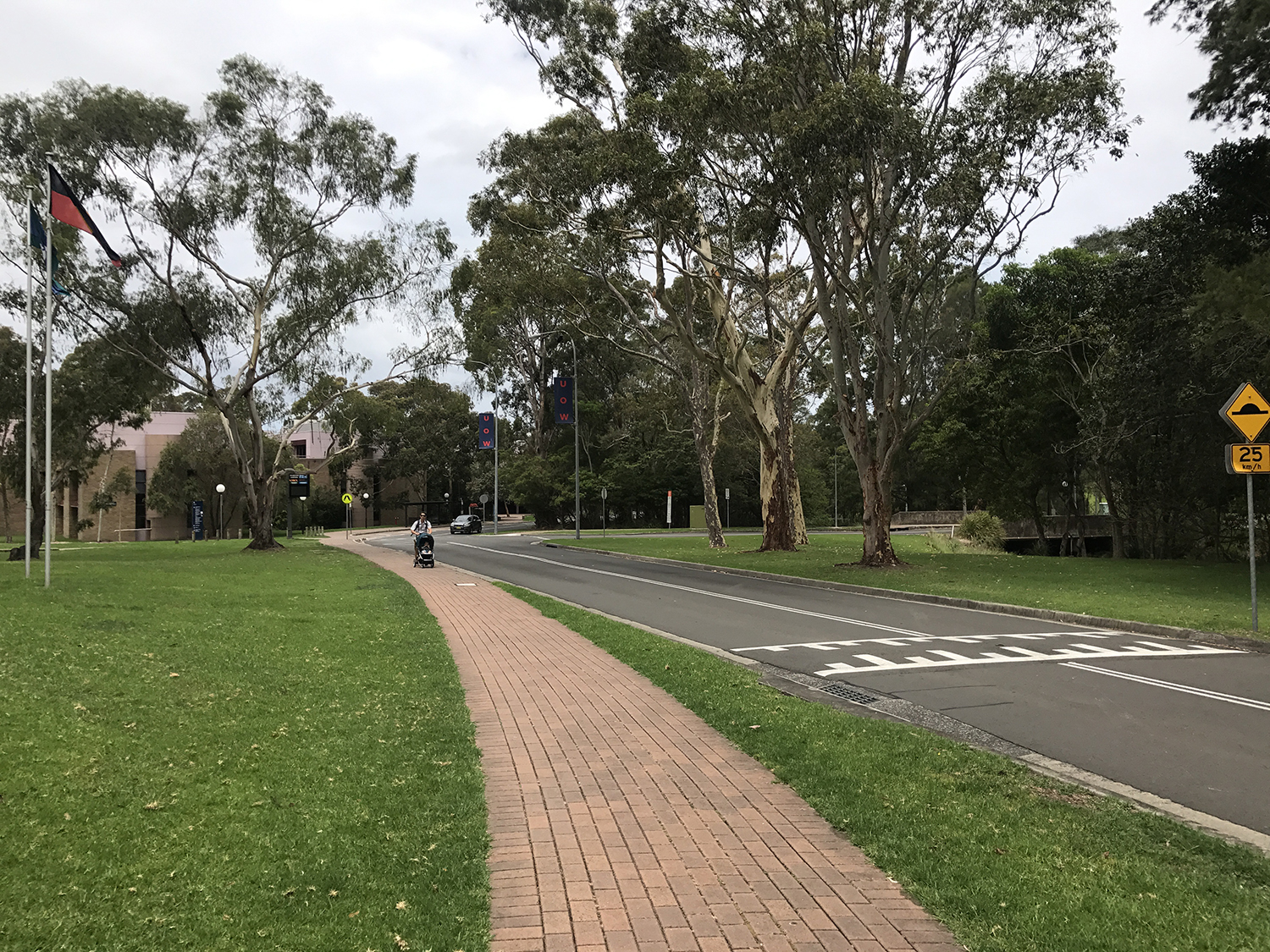 卧龙岗大学it专业排名