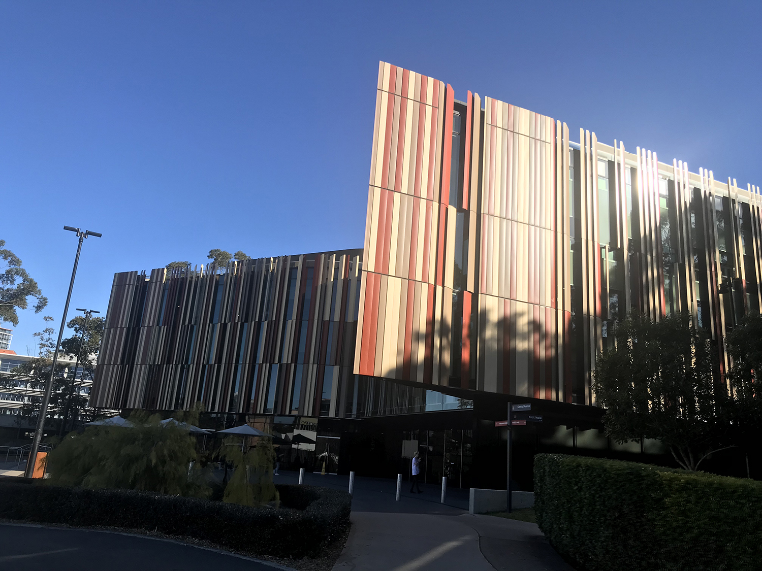 麦考瑞大学tesol