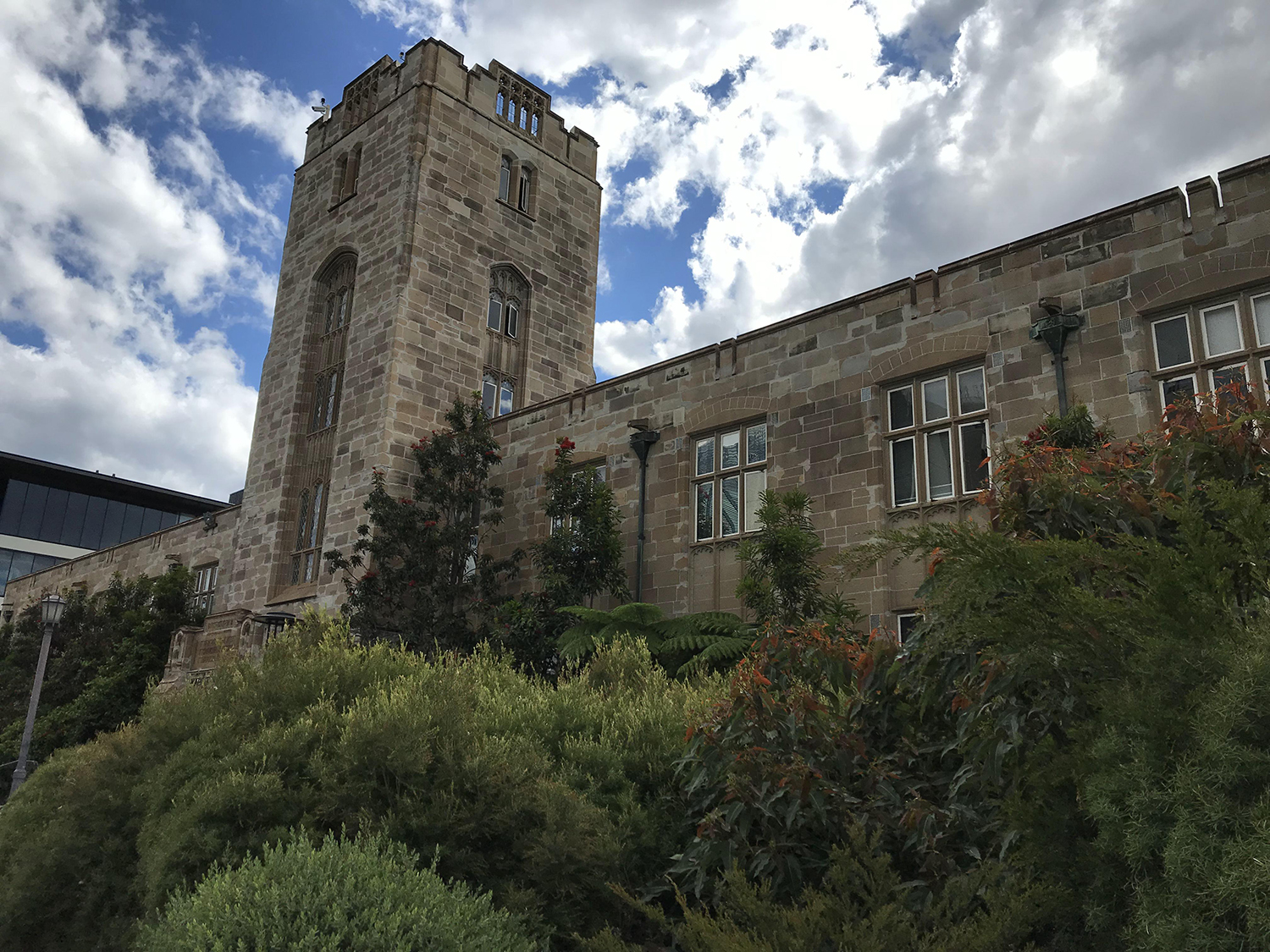 悉尼大学管理