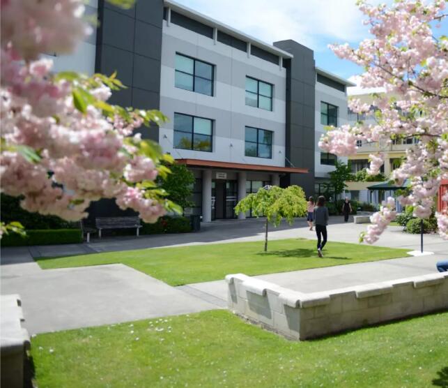 新西兰留学：东部理工学院申请注意事项