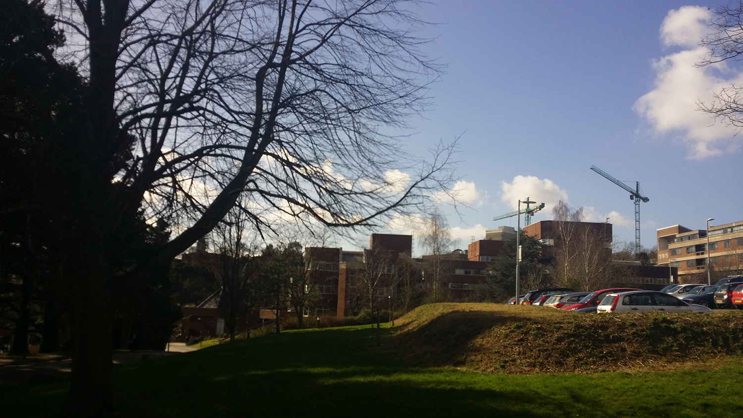 英国雷丁大学硕士预科