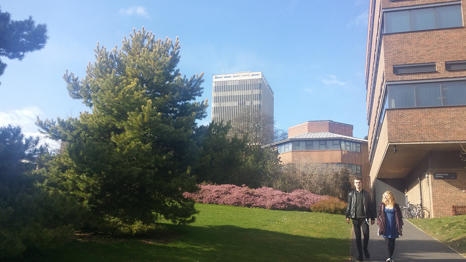 英国萨塞克斯大学学费