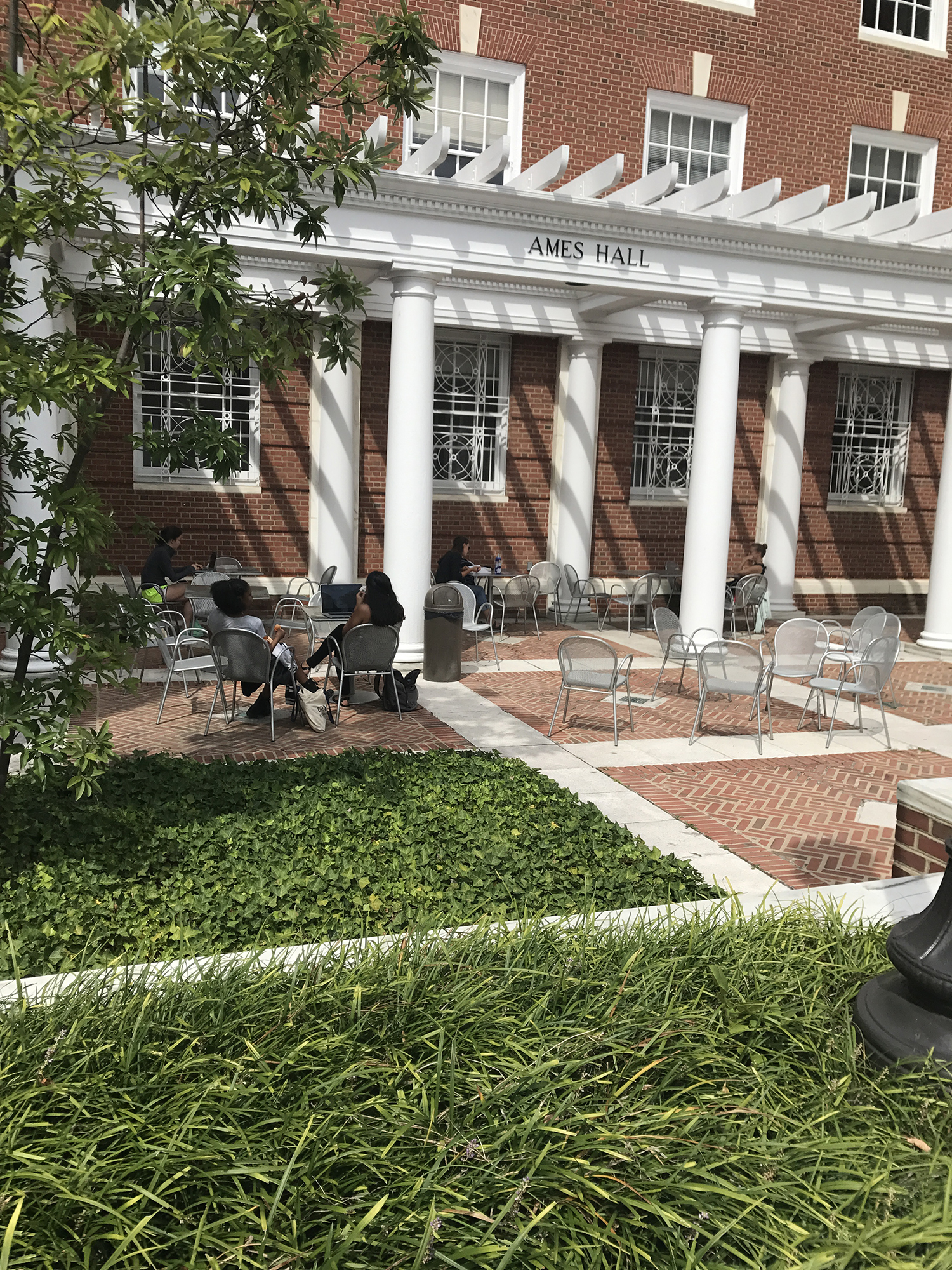 迈阿密大学有哪些学院