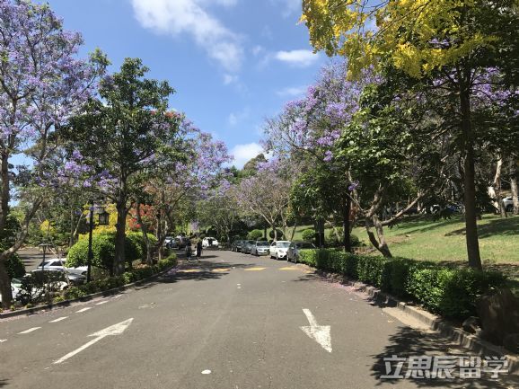 弗林德斯大学护理