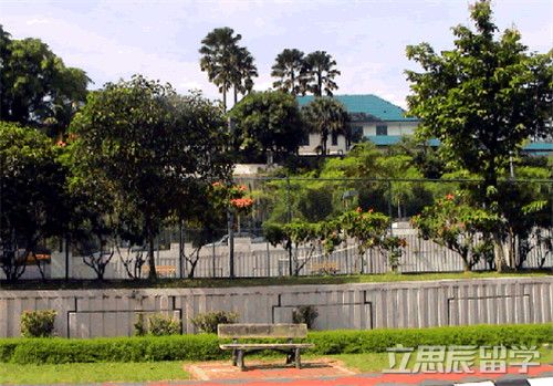 马来亚大学什么专业比较好