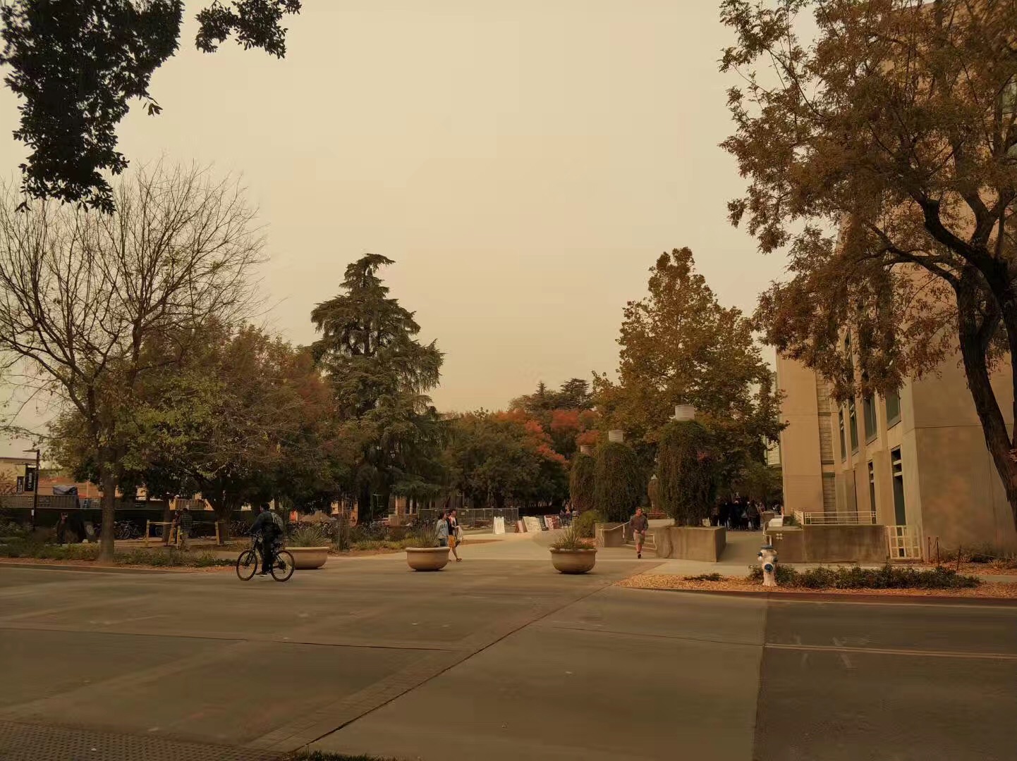 加州大学戴维斯分校艺术系