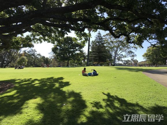 迪肯大学几星