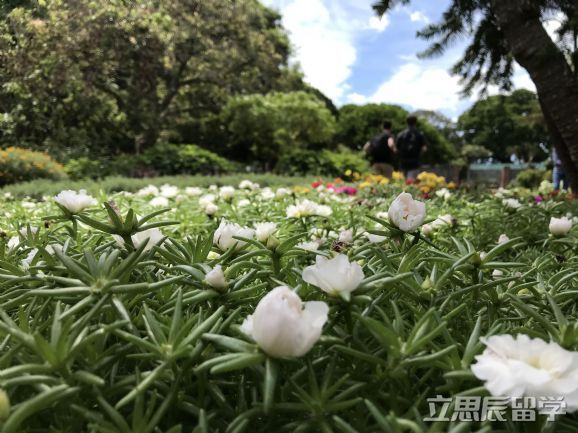 昆士兰大学住宿舍费