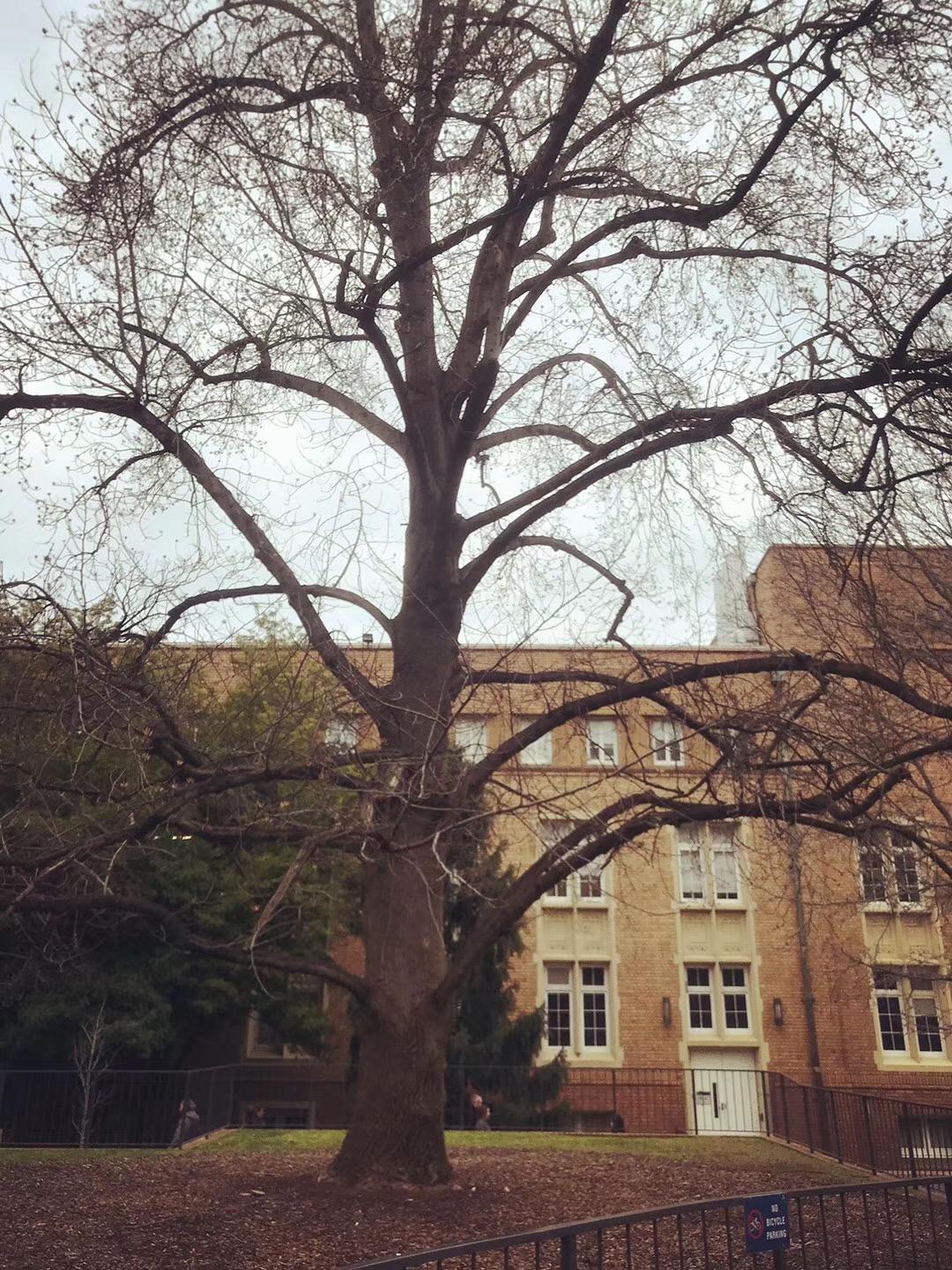 墨尔本大学建筑学专业