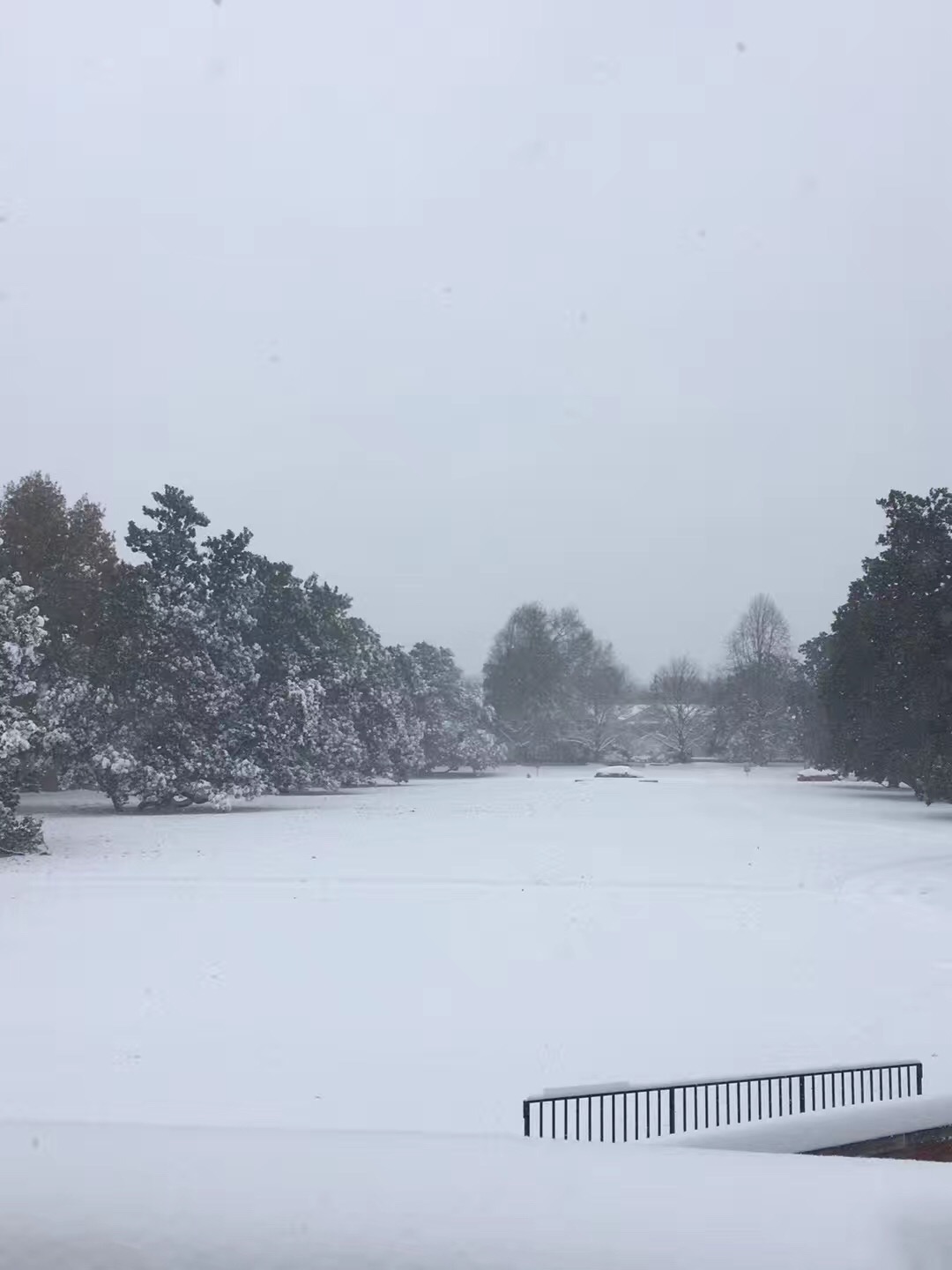 科罗拉多矿业大学本科申请