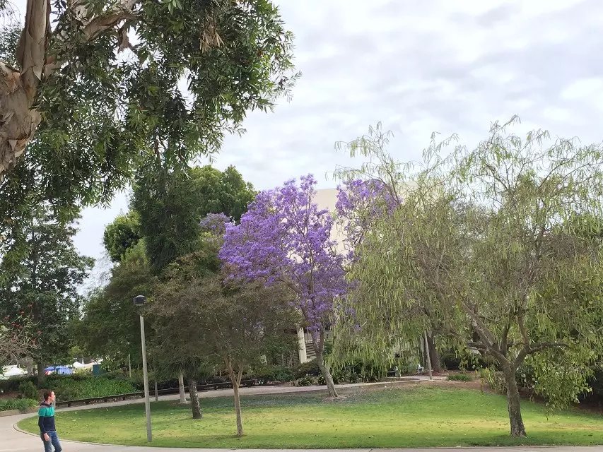 爱荷华大学一年学费